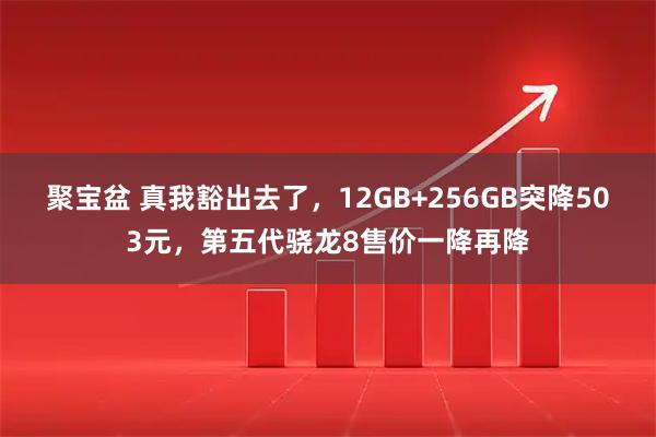 聚宝盆 真我豁出去了，12GB+256GB突降503元，第五代骁龙8售价一降再降