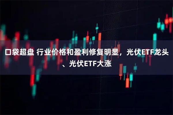 口袋超盘 行业价格和盈利修复明显,光伏ETF龙头、光伏ETF大涨